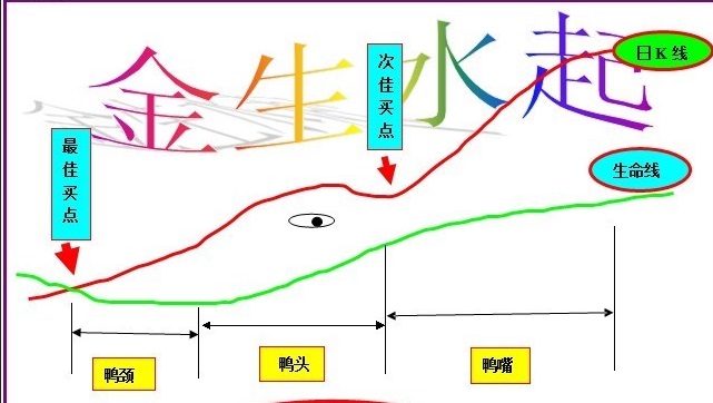 杏林解語：金水相生