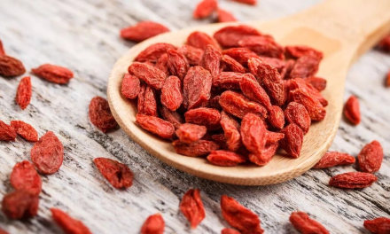 這些人不適宜吃枸杞